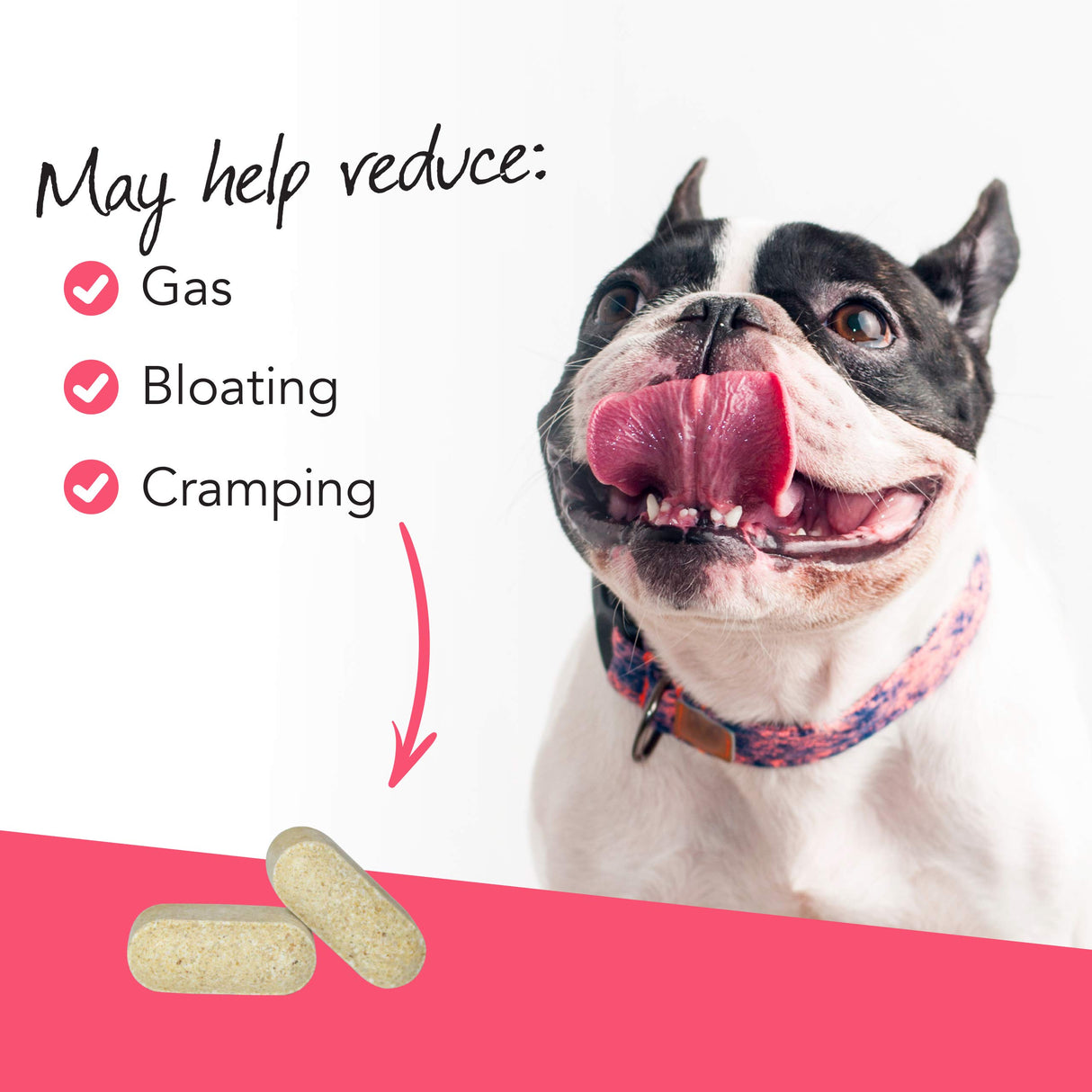 VetriScience Extra Strength Healthy Gut & Digestion Chewable Tablets, Probiotic BD Digestive Enzyme Supplement for Dogs, Probiotics and Enzymes Soothe Gut and Bowel Discomfort, Chicken, 120 Count