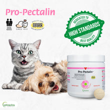 Load image into Gallery viewer, Vetoquinol Pro-Pectalin Chewable Tablets for Dogs & Cats, Helps Relieve Occasional Diarrhea, Situational Diarrhea Relief with Kaolin and Pectin, Contains Beneficial Probiotic Bacteria, 60ct