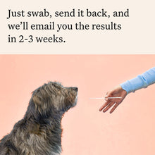 Load image into Gallery viewer, Wisdom Panel Premium Dog DNA Kit: Most Comprehensive with 265+ Health Tests, Identify 365+ Dog Breeds, 50+ Traits, Relatives, Ancestry, Genetic Diversity - Pack of 1