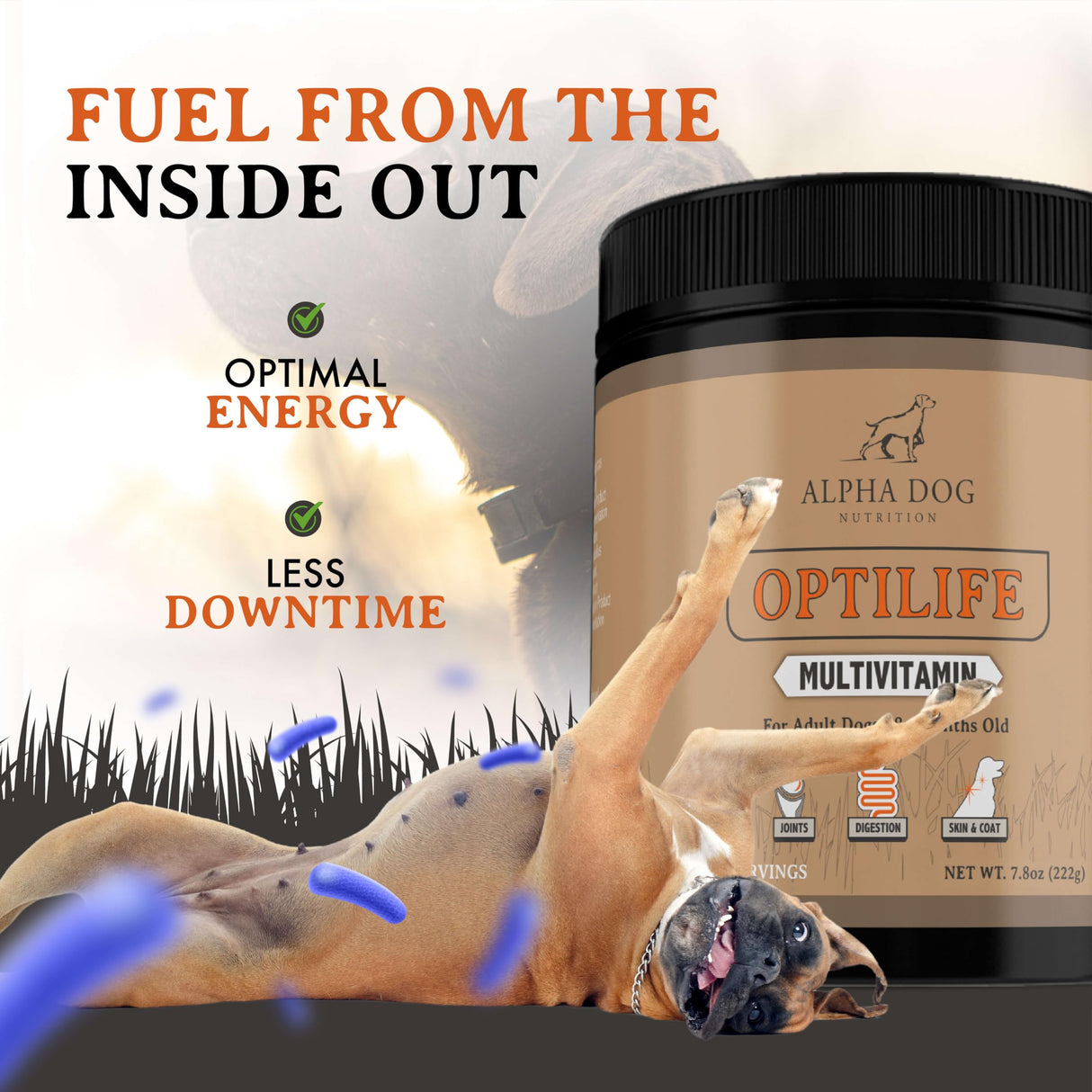OptiLife Dog Multivitamin Powder - Adult Dog Multivitamin with Probiotics, Allergy Support, Joint Support, Skin & Coat Support - Dog Vitamins and Supplements - Multivitamin for Dogs (30 Servings)