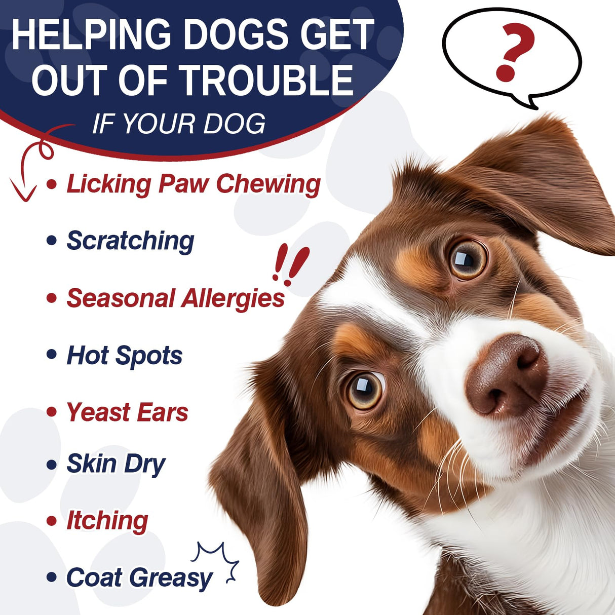 200 Treats, Dog Allergy Chews Immune Support Dogs Dog Allergy and Itching Skin Relief Bites Probiotics for Yeast, Itchy Skin and Itchy Ears Anti Itch Licking Paws Treatment for Dogs Seasonal Allergies