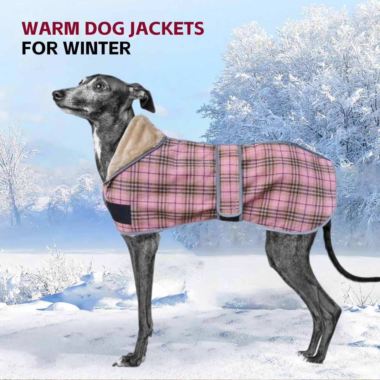 UOSIA Greyhound Coats - Autumn Winter Dog Jacket Adjustable Thin and Warm Fleece Coat for Whippet Dogs Cozy Lightweight Winter Dog Clothes for Italian Greyhound M