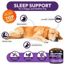 Load image into Gallery viewer, Advanced Melatonin for Dogs - 170 Dog Melatonin Calming Chews for Small and Large Dogs - Natural Hemp Dog Sleep Aid, Puppy Sleeping Pills, Anxiety, Stress, Separation, Barking, Fireworks - Made in USA