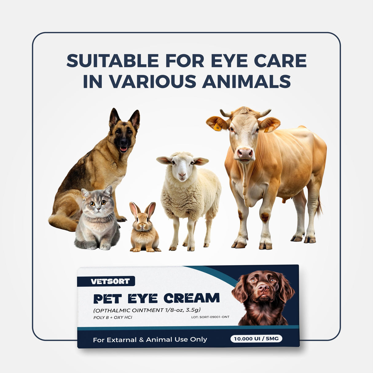 VETSORT Pet Eye Health Cream for Dogs, Cats, Cattle, Sheep, Horse, Rabbit, Bird 1.8 oz, (3.5g Tube)