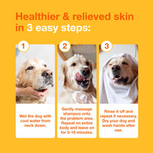 Load image into Gallery viewer, Douxo S3 Pyo Shampoo, Contains 3% Chlorhexidine & 0.5% Ophytrium, Antiseptic & Hydrating, For Bacterial or Yeast Skin Infections, For Dogs and Cats, 6.7 fl. oz. (200mL)