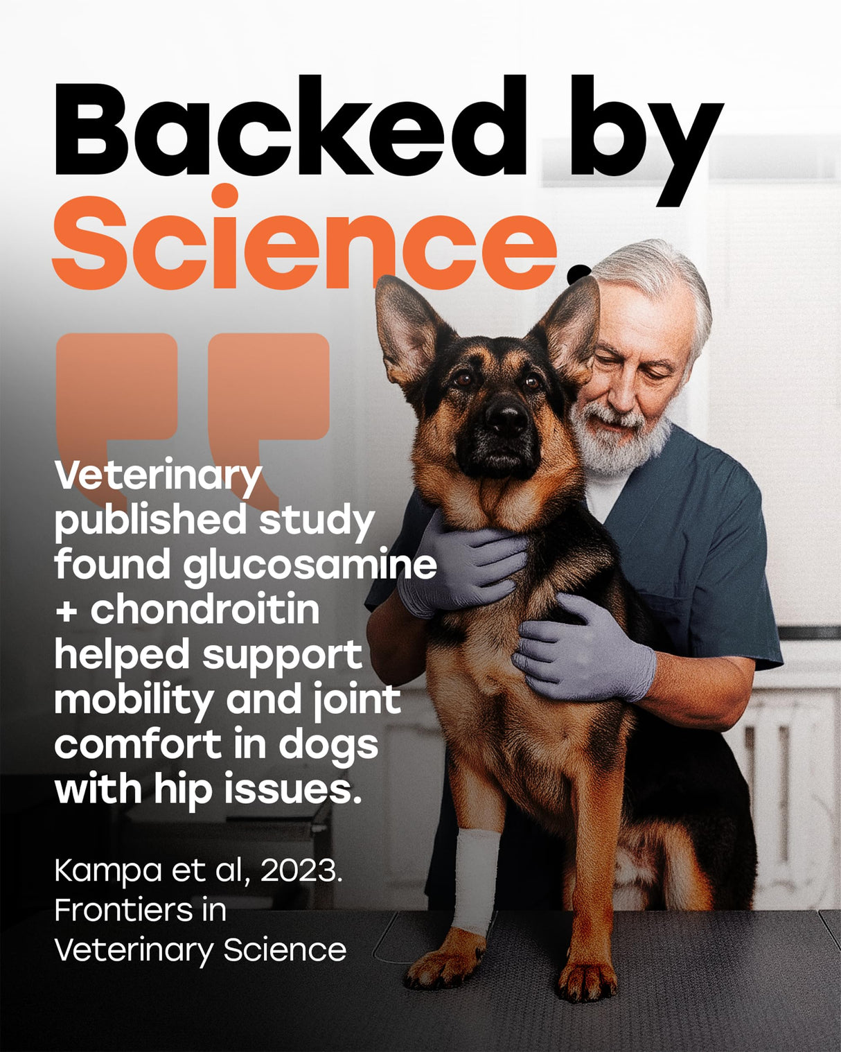 Pup Choice Glucosamine 500mg Hip & Joint Support Supplement for Dogs – Chondroitin, Collagen, MSM & Turmeric Chews – Supports Mobility, Flexibility & Joint Health for Large Breeds & Seniors