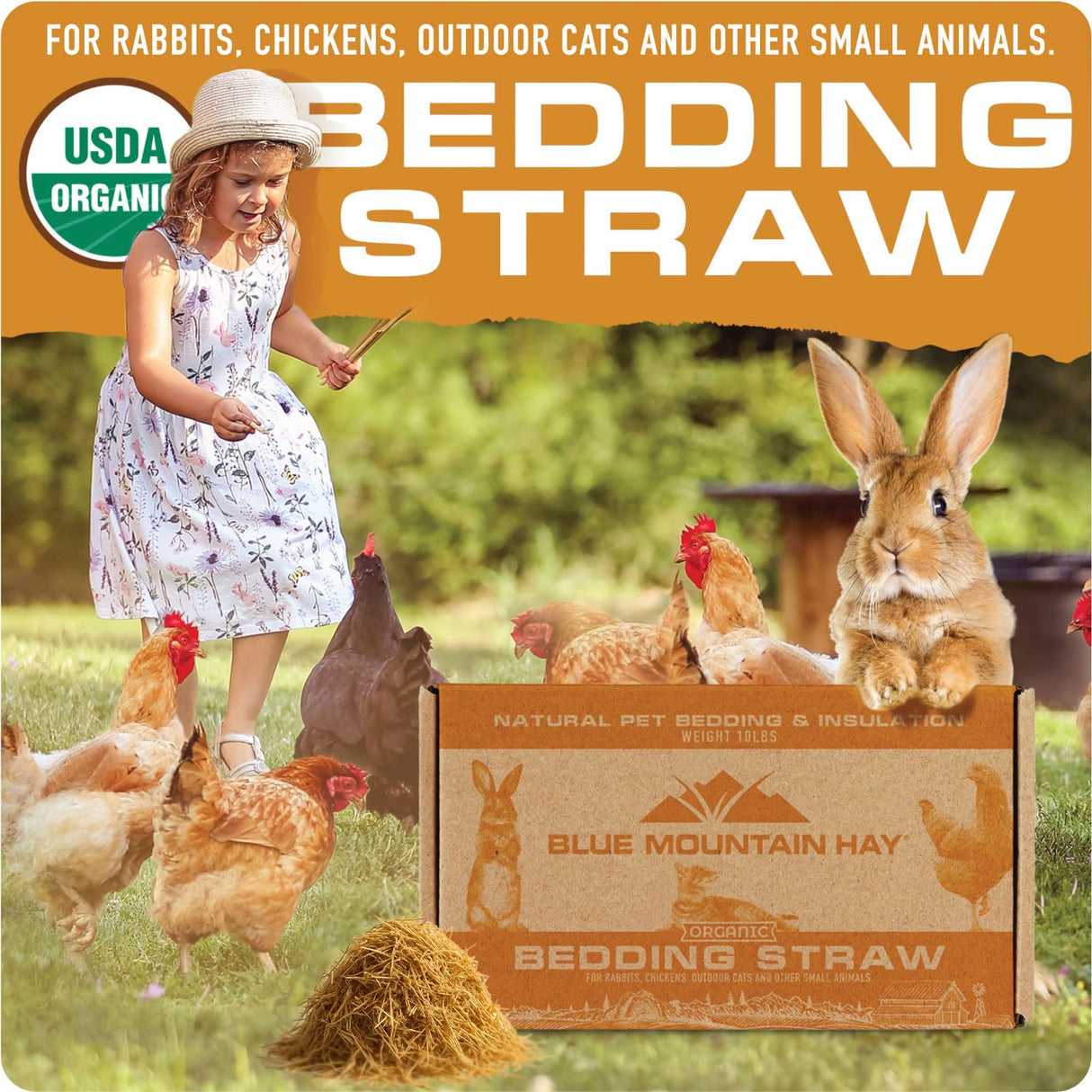 Blue Mountain Hay Organic Bedding Straw (5 lb) – USDA Certified Organic, Non-GMO, Chemical Free, Soft & Highly Absorbent Natural Bedding for Pet Habitats, Gardening, Composting & DIY Projects