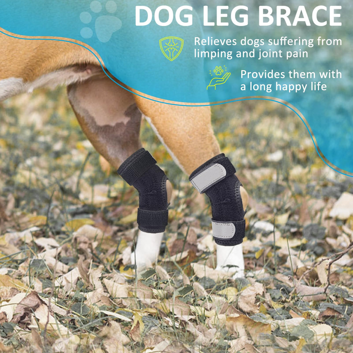 Dog Leg Braces for Rear Legs, Hock Brace for Back Legs with Metal Strips and Safety Reflective Straps for Short Legs, Joint Warps Support for Hind Legs Injuries Sprains Arthritis (XSmall)