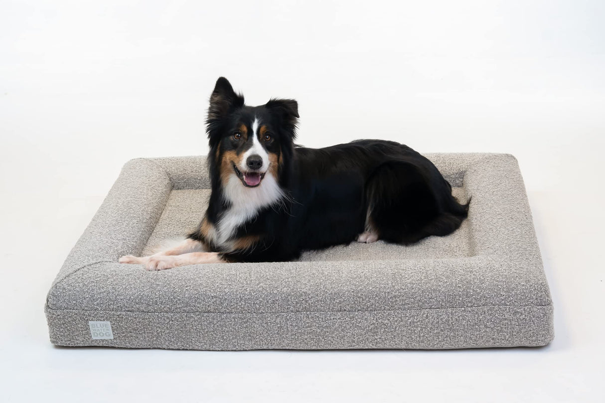 Bluewater Dog Luxury Boucle Orthopedic Memory Foam Dog Bed with Waterproof Liner and Machine Washable Cover with YKK Zippers (Large, 45" L x 36" W x 7" Th, Sand)