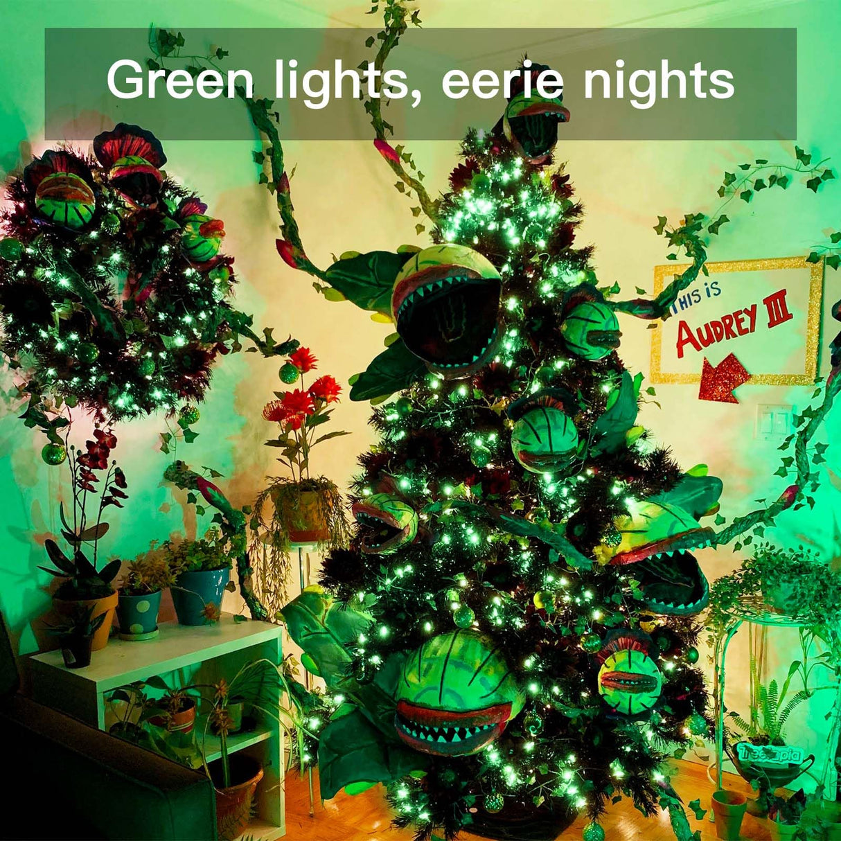 suddus Green Christmas Lights Battery Operatd, 66ft 200LED St Patricks Day Decorations Lights Indoor, Fairy Twinkle Lights with Remote for Halloween, Bedroom, Patio, Backyard, Outdoor Decorations