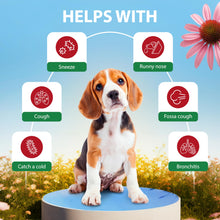 Load image into Gallery viewer, Kennel Cough Drops for Dogs & Cats Cough Relief Dry and Wet Pet Cough Allergy Relief - for Dogs of All Breeds & Sizes