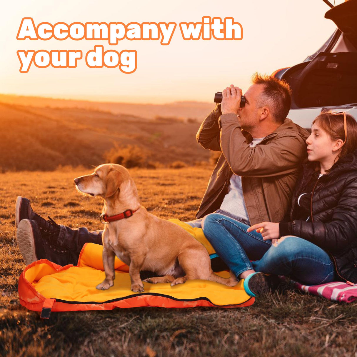 Lifeunion Dog Sleeping Bag with Storage Bag Waterproof Warm Packable Dog Bed for Travel Camping Hiking Backpacking (Orange)