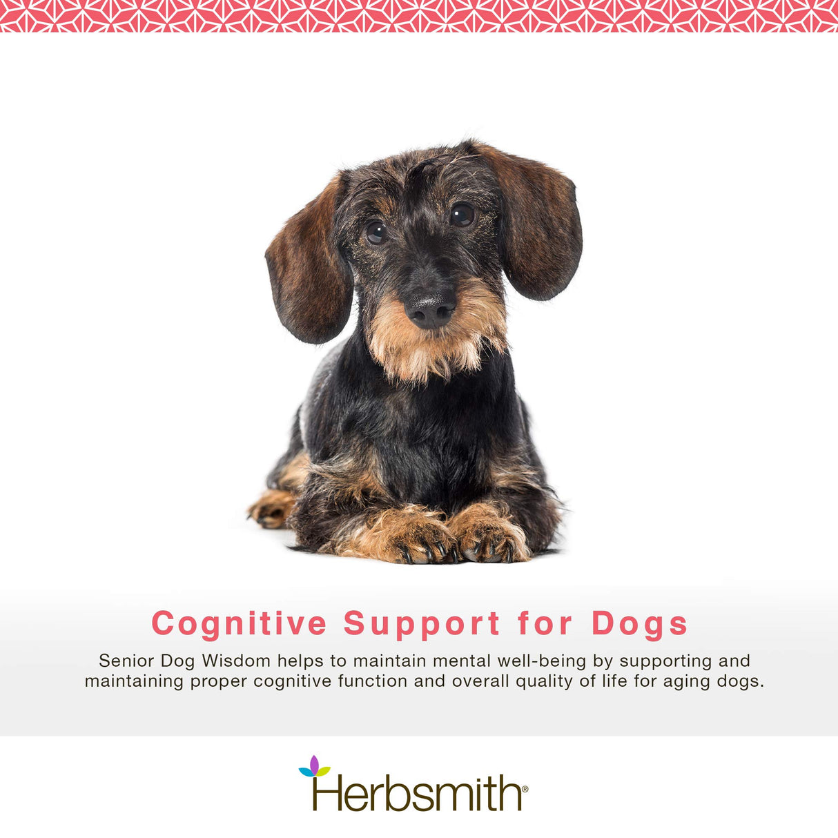 Herbsmith Senior Dog Wisdom – Dog Dementia Supplement – DHA for Senior Dog Brain Health - Senior Supplement for Dogs- 60ct Small Chews