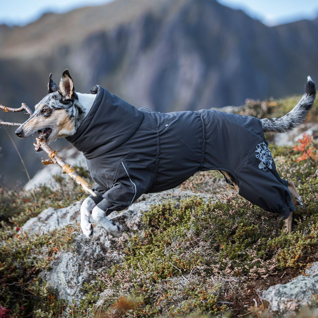 Hurtta Extreme Overall, Dog Snowsuit, BlackBerry, 20M