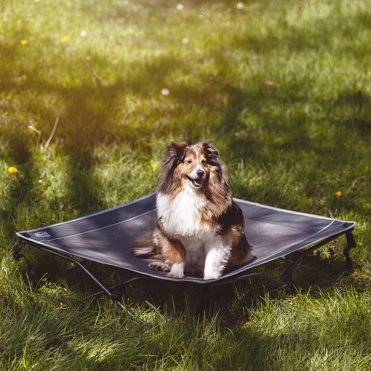 TIMBER RIDGE Outdoor Dog Bed, Cooling Elevated Pet Bed Portable Raised Dog Bed with Breathable Mesh, Dog Bed Foldable Dog Cot for Indoor & Outside, Grey