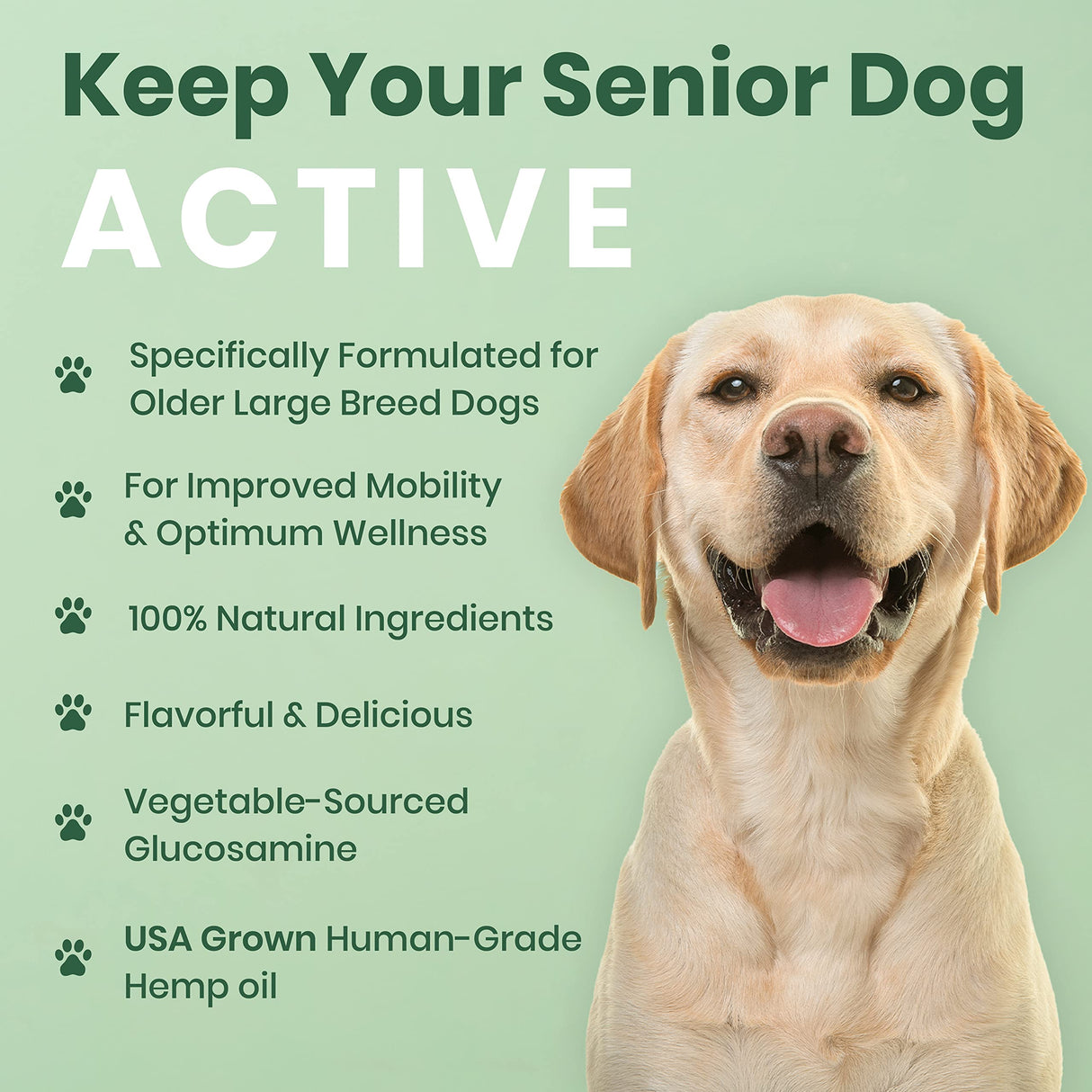 Veterinary Naturals Hemp & HIPS Joint Supplement for Dogs/Supports Relief from Hip and Joint Pain in Large, Aging Dogs (Senior Large Breed, Chicken)
