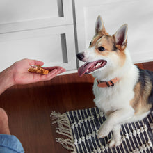 Load image into Gallery viewer, Nutrish Savory Roasters Chicken Recipe Premium Dog Treats, 30 oz. Pouch (Rachael Ray)