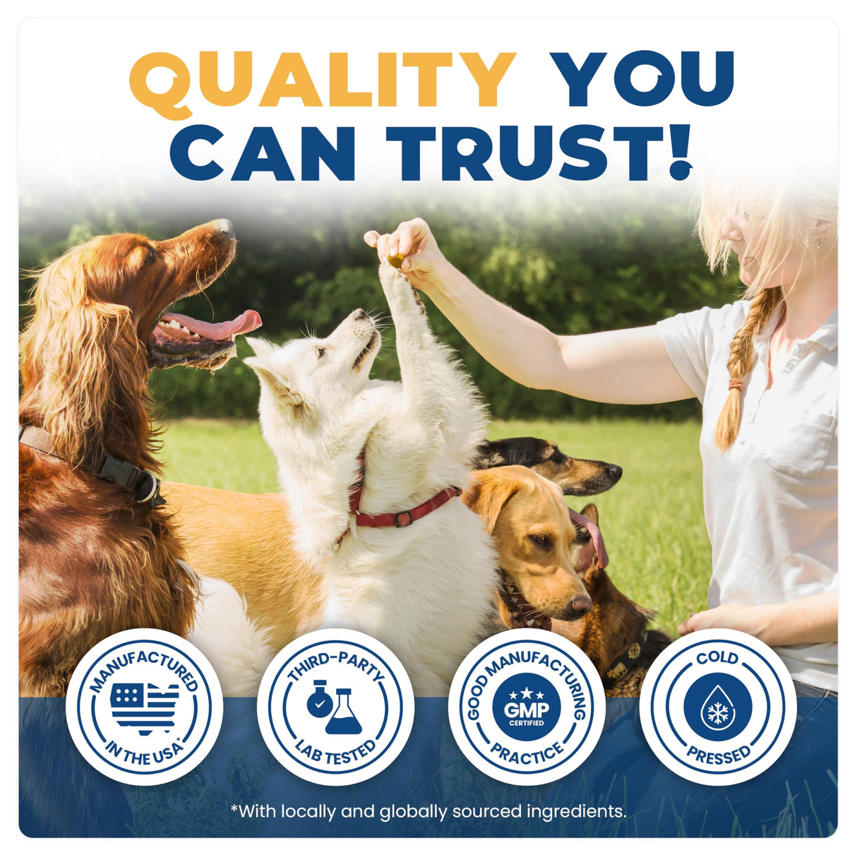 Jope Hip & Joint Supplement for Dogs Large, Medium, Small - Joint Chews w/UC-II® Collagen - Proven Better Than Glucosamine Chondroitin in Canine Health - Veterinarian Formulated, Omega 3 & Curcumin