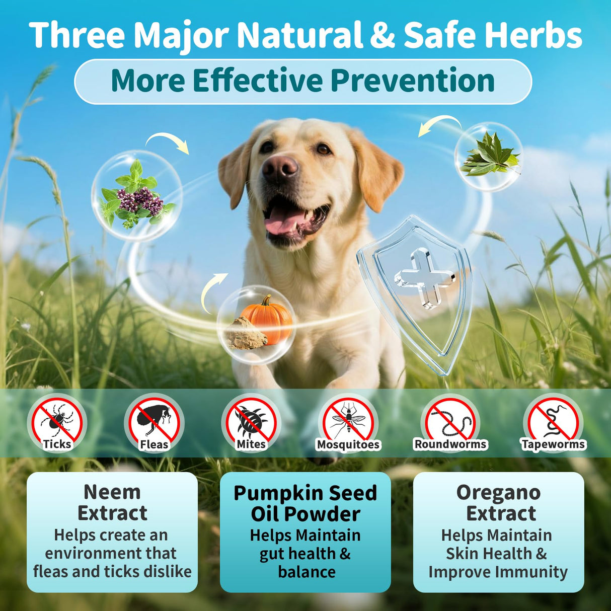 POPPAW Flea and Tick Prevention Support for Dogs, Natural Flea Treatment Drops with Neem, Oregano for Puppy Oral Flea and Tick Treatment Supplement for All Breeds and Ages - Chicken Flavor, 2 FL.Oz