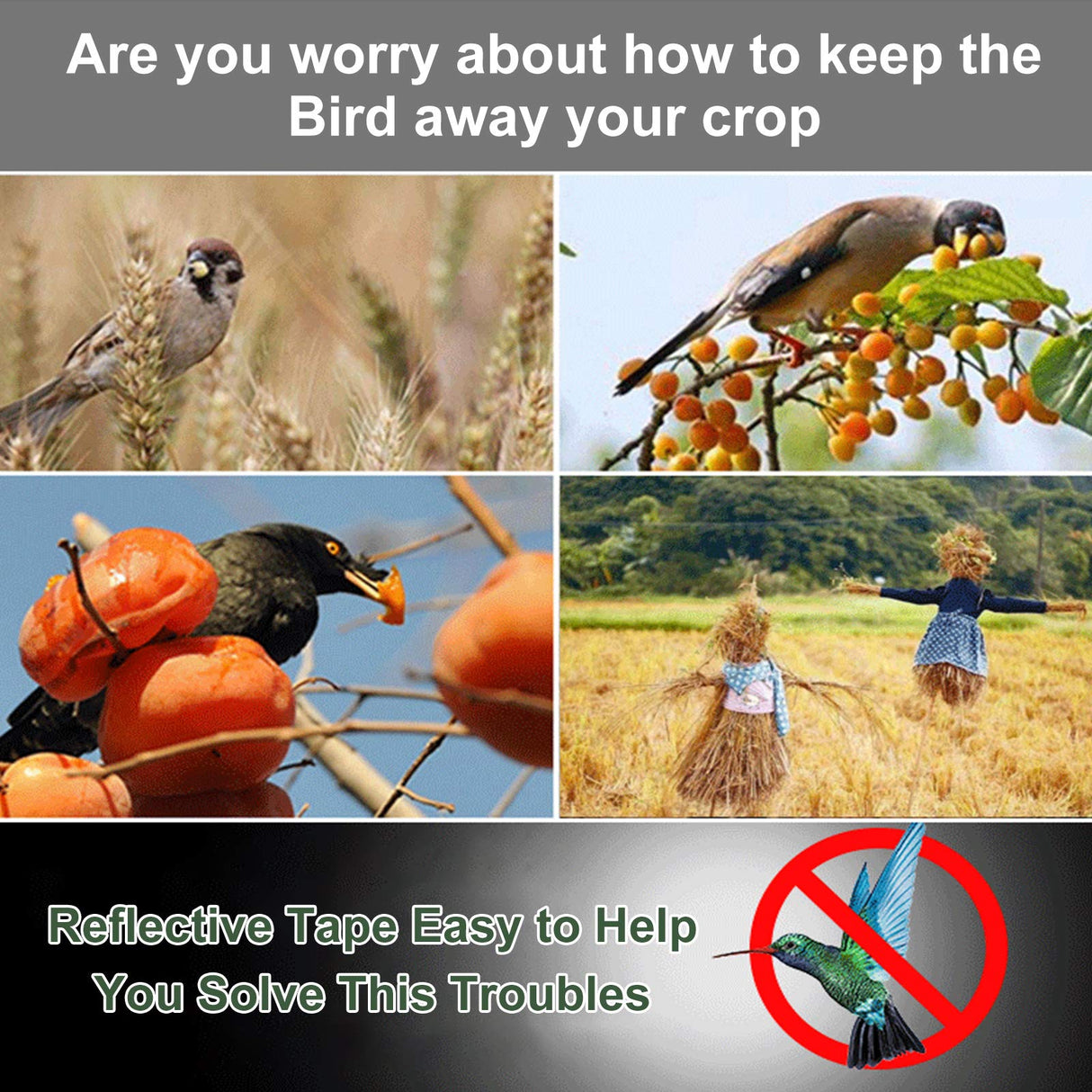 iFealClear 4 Pack Bird Reflective Scare Tape, Dual-Sided Pigeon Scare Tapes for Garden, Farm, 262ft x 4Roll Reflective Scare Tape Ribbon Outdoor to Keep Away Woodpecker, Blackbirds, Grackles, Herons