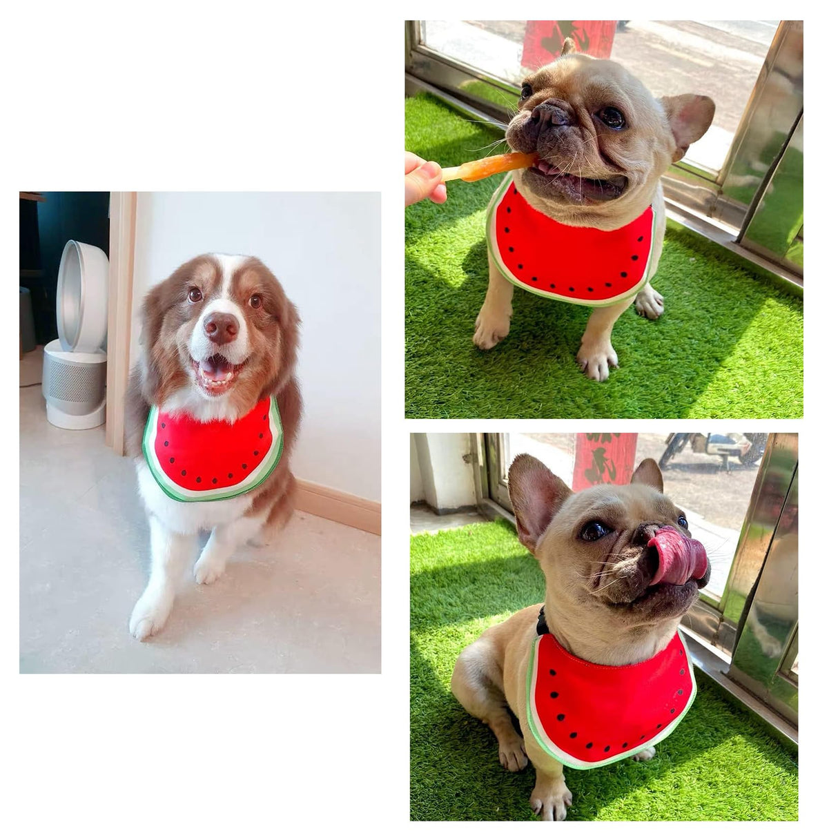Pet Dog Bib Dog Bandana Cartoon Watermelon Pet Neckerchief Dog Costume Accessory Summer Waterproof Pet Bib for Medium & Large Dogs Golden Retriever Alaskan Samoyed (XX-Large,Red)