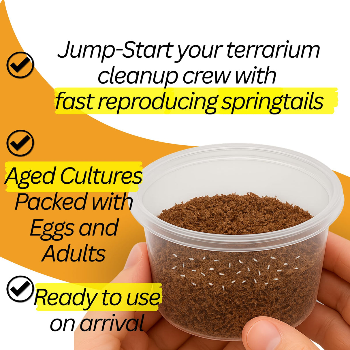 Bioactive Combo | 25 Powder Orange Isopods | 8oz Coco Temperate Springtails | Live Arrival Nationwide!