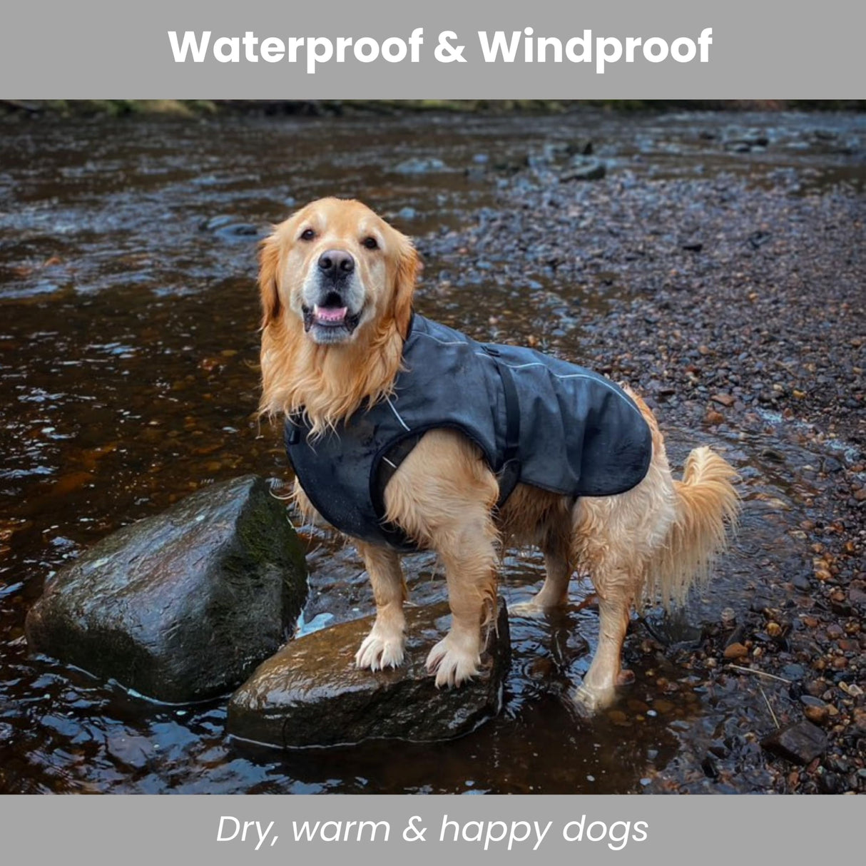 Lucolove Self-Heating Thermal Insulated Dog Coat - Waterproof Winter Jacket for Small, Medium, Large Dogs - Lightweight Non-Bulky Fit, Easy On/Off Clip, Hair-Free Lining (2XL)