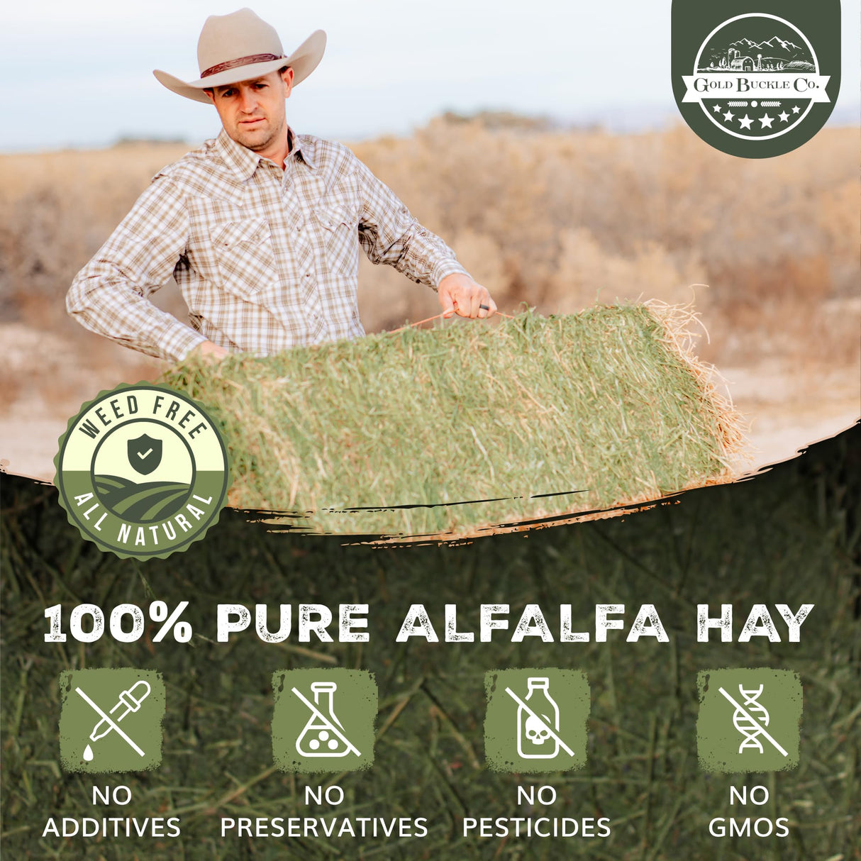 Gold Buckle Co 9lb Farm Fresh, USA Grown, Organic Alfalfa Hay for Rabbits, Guinea Pigs, Chinchillas, Goats, Hamsters & Ferrets - Rabbit Food Rich in Protein & Fiber - Just Dried, Hand-Selected