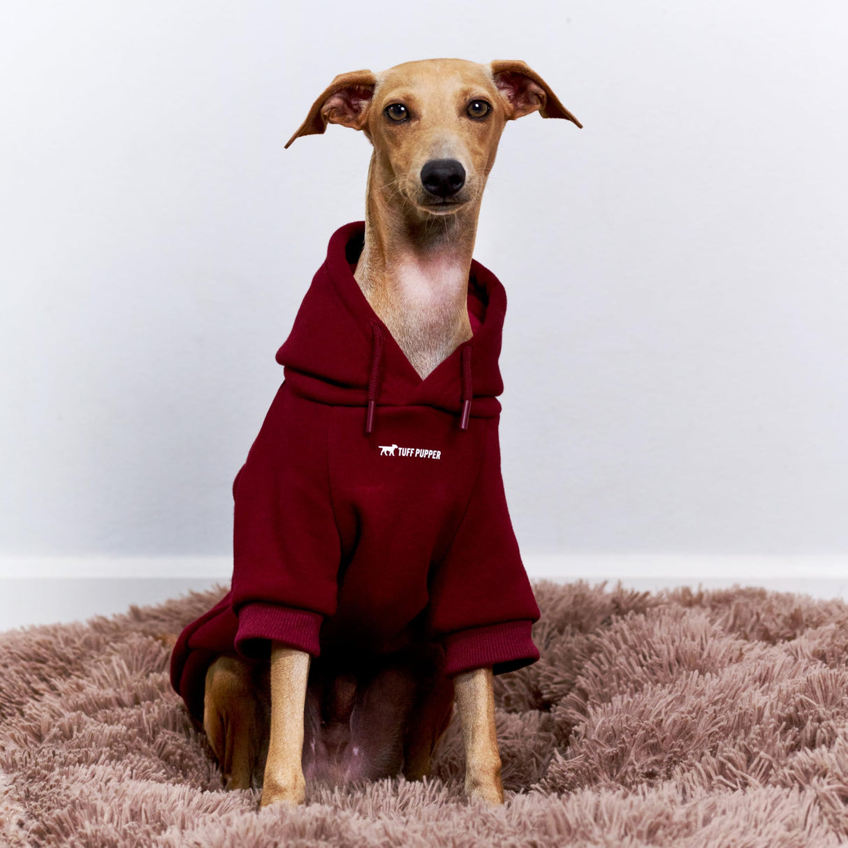 Tuff Pupper Dog Hoodie | Premium Quality Insulated Fabric | Ultra Soft Interior for Superior Comfort | Elastic Cuffs & Drawstring for Warmth | Stretch Fit Suitable for All Breeds (Red, XXS)
