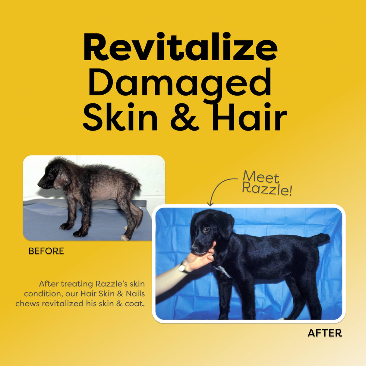 Medical-Strength Hair Skin & Nails Dog Chews | Vitamin A Retinol & B3 Niacinamide for Dogs | EPA Omega 3 for Dog | Relieve Itching, Flaky Skin & Brittle Nails | 90 Chews