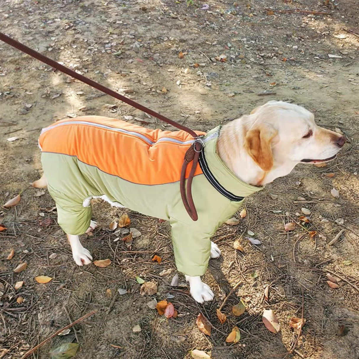 Toasty Warm 4-Legged Dog Snowsuit with Leash Ring, Reflective Zip Up Dog Winter Coat, Windproof Fleece Lining Dog Jumpsuit Jacket, LightGreen,12