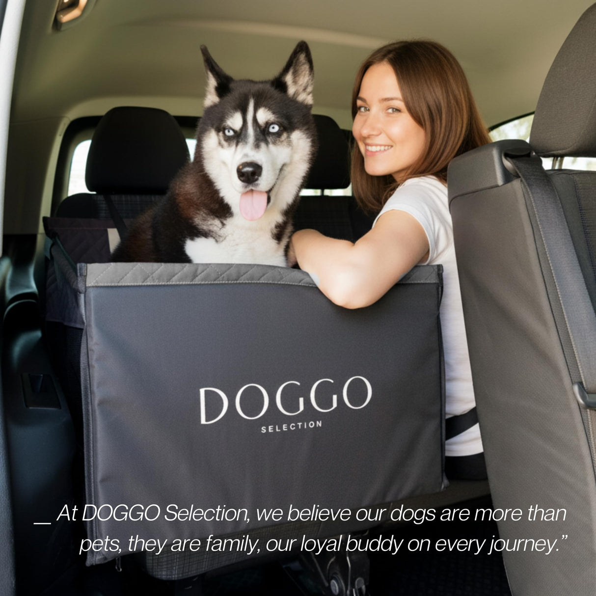 Dog Car Seat Cover with Hard Bottom – Back Seat Extender for Small & Medium Dogs, Waterproof & Non-Slip Hammock, Reinforced & Stable Design with Storage Pockets for Cars, SUVs & Trucks (Black)
