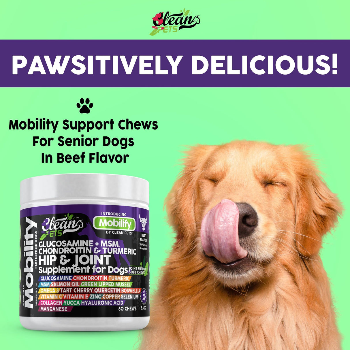 Clean Pets Hip and Joint Supplement Dogs with Glucosamine for Dogs + Chondroitin, Turmeric, Hyaluronic Acid, MSM, Salmon Oil, Collagen, Vitamin C, Omega 3 Senior Dog Supplements Beef Flavor - 1Pack