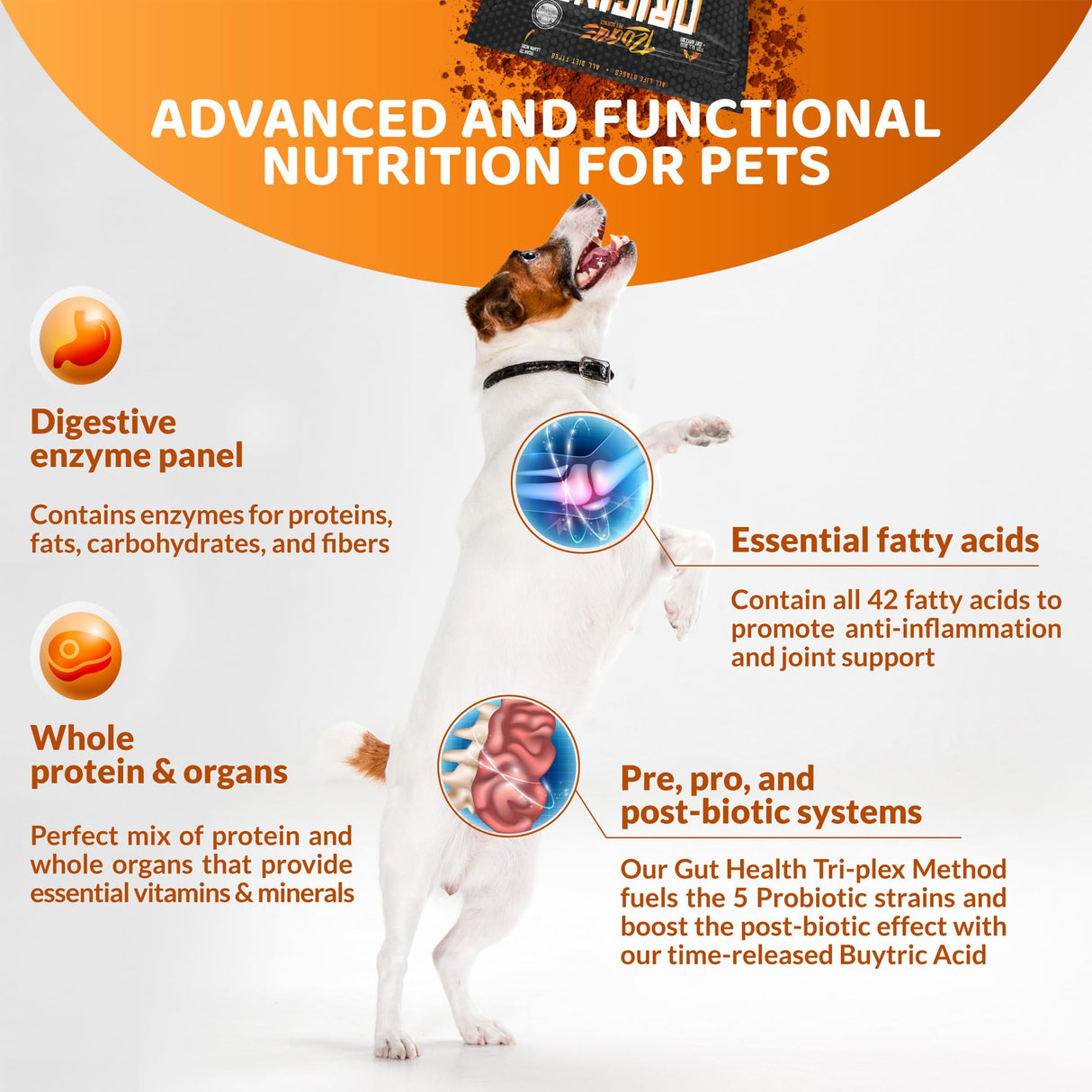ROGUE PET SCIENCE Origins 5-in-1 Dog Supplement - Powdered Food Topper w/Natural Omega 3 Fish Oil - Supports Healthy Digestion, Skin, and Coat - Helps Reduce Itching & Joint Inflammation (2 lbs)