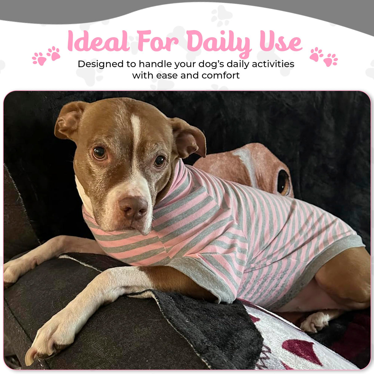 Tooth & Honey Big Dog Stripe Shirt โ Pullover with Full Belly Coverage โ Pink and Grey Pitbull Shirt for Extra Large Dogs