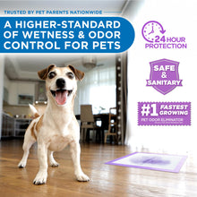 Load image into Gallery viewer, POOPH® Potty Pads™ – 50 Count – Superior Absorbency & Odor Control – Absorbs 59oz, Leak-Proof, Track-Proof, Spill-Proof – Quick-Dry, Disposable, 24x24 Inch – for Puppies, Seniors, Housebound Pets
