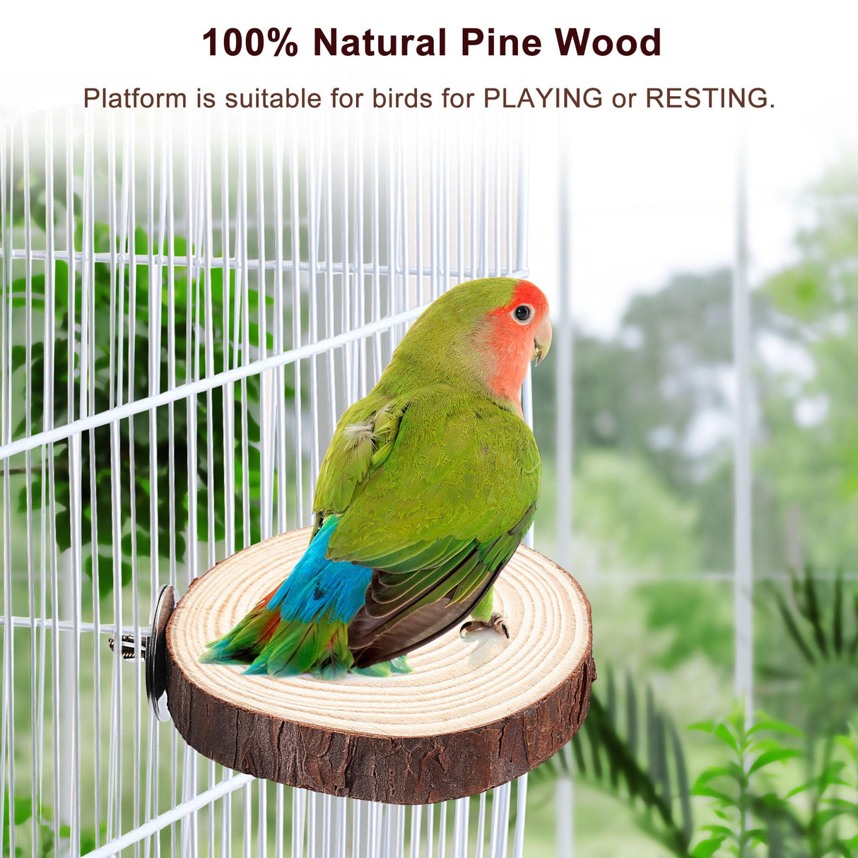 Mogoko 5PCS Bird Perch Natural Wood Grape Stick Stand, 3 Grape Stick Paw Grinding Fork Parakeet Chewing Stick 2 Parrot Stand Branch, Chewing Exercise Branches Bird Cage Accessories
