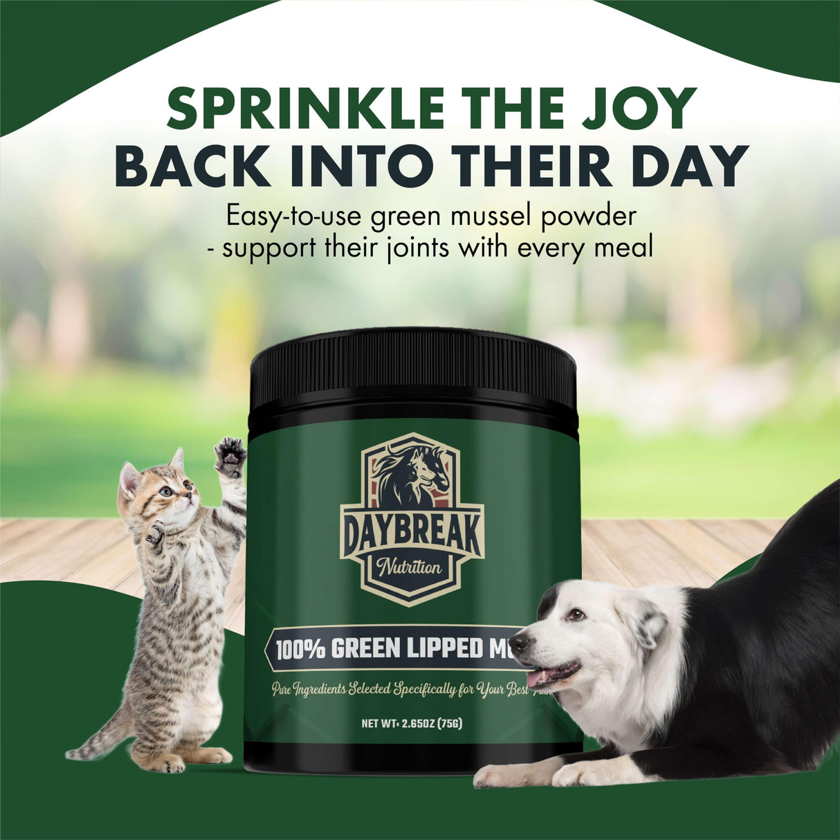 Pure Green Lipped Mussel Powder for Dogs and Cats - 100% New Zealand Green Lipped Mussels - Anti Inflammatory Supplement & Vitamins to Help Your Pet Deal with Arthritis, Joint Pain Relief - 75 Grams