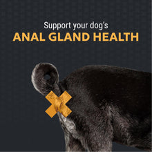 Load image into Gallery viewer, Nutramax Filaquin Anal Gland Supplement for Dogs, from The Same Company as Cosequin & Proviable, with Pre & Postbiotics and Psyllium Husk Fiber to Support Anal Gland Health, 90 Count Soft Chews