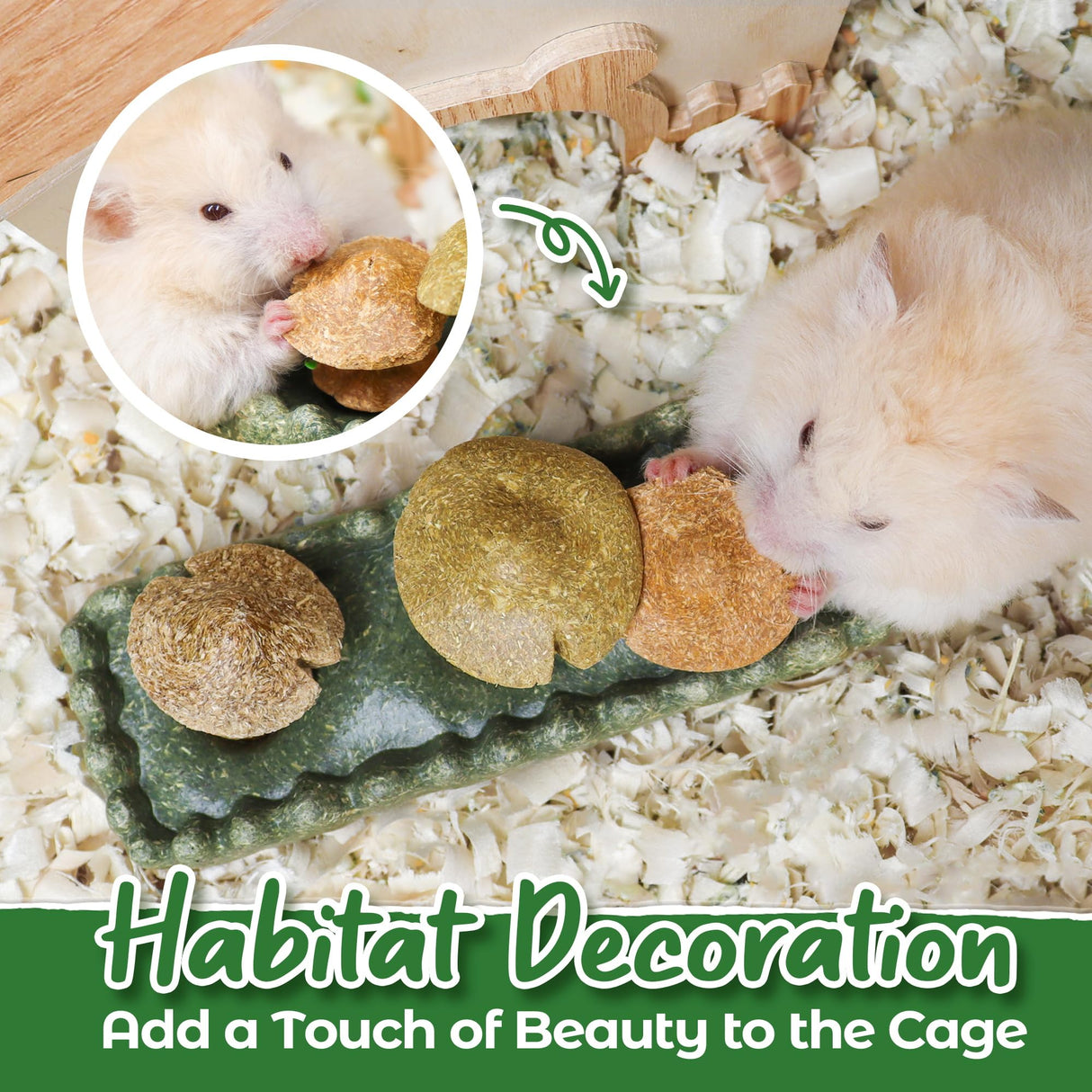TEEWY Guinea Pig Chew Toys, Prevent Teeth Overgrowth, Natural Timothy Grass & Vegetables, Hamster Chew Toys, Guinea Pig Toys, Chinchilla Toys, 4PCS, Grass Patch & Mushrooms