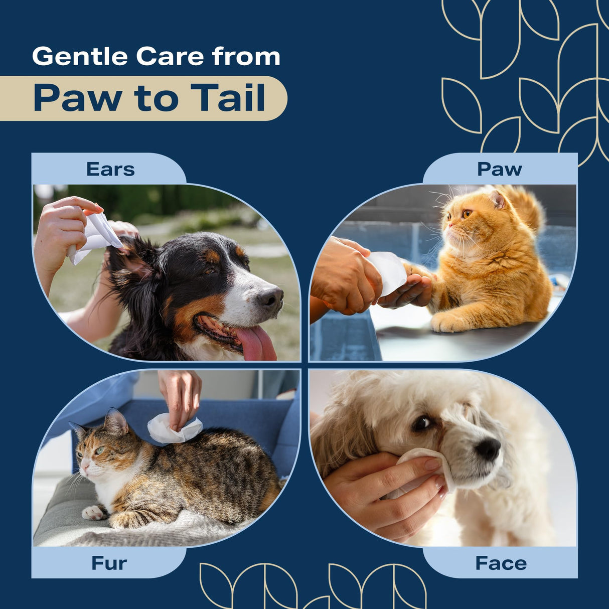 REFRESHIFY Dog Wipes for Paws and Butt - Plant Based Lavendar Scented (Pack of 400) - Pet Wipes for Dogs and Cats - Deodorizing Non Toxic Dog Wipes, +12 Additional Travel Wipes