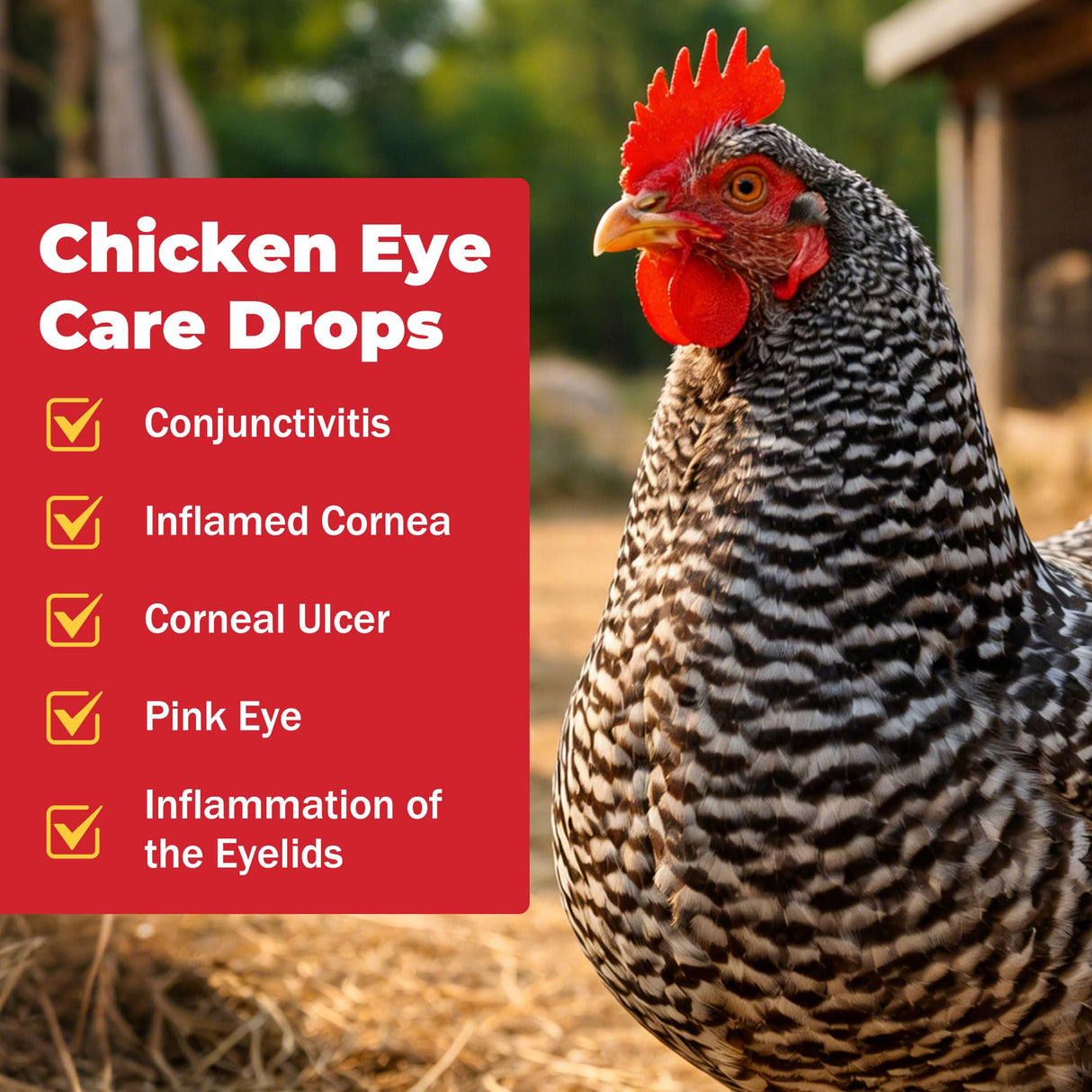 FRONTGUARD Chickens Eye Care Drops for Chickens, Ducks & Birds – Improve The Eye Health – Improve Egg Quality – Supports Clear Vision & Healthy Eyes – 15 mL (0.5 fl oz)
