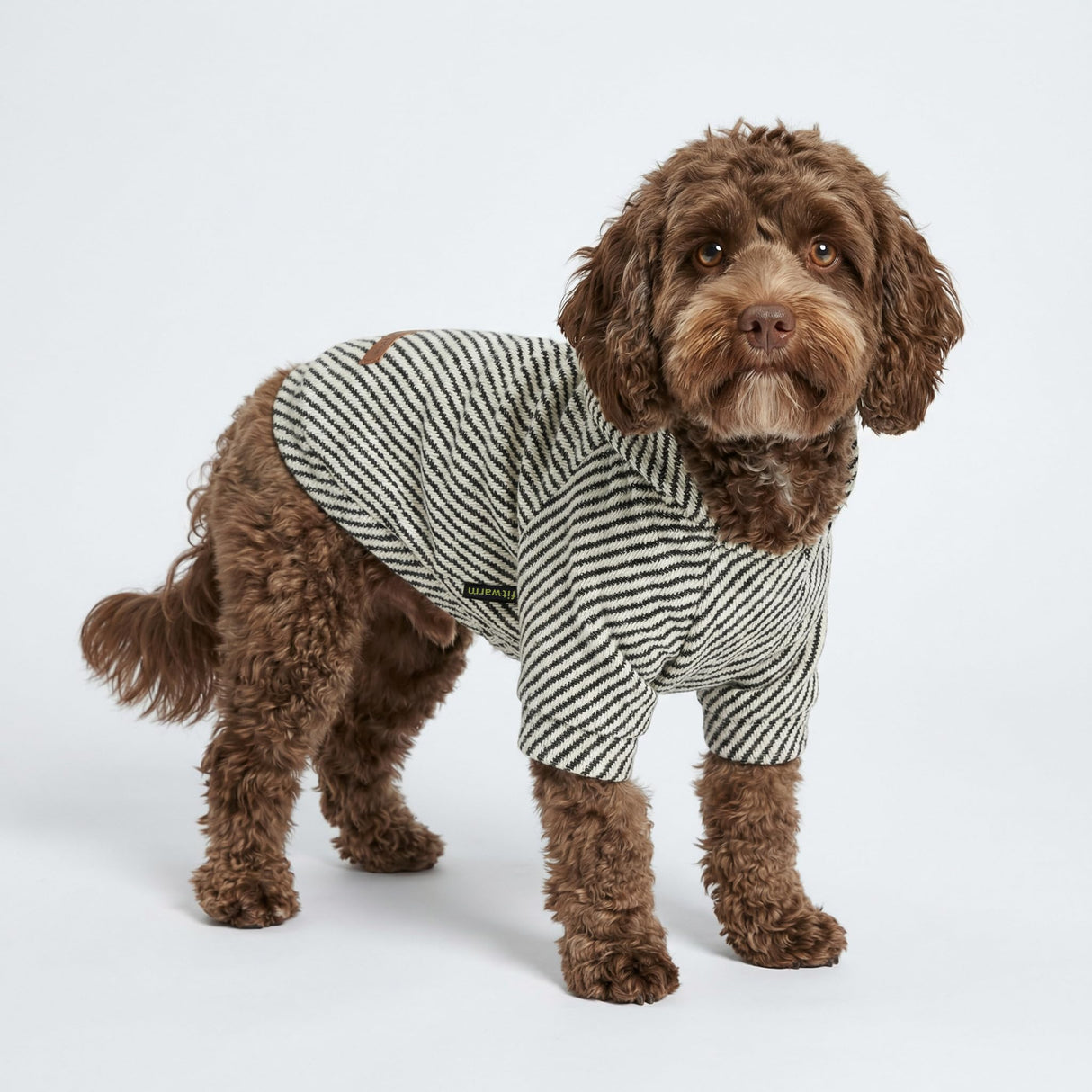 Fitwarm Sliver Striped Dog Hoodie, Doggy Winter Clothes for Small Dogs Boy Girl, Dog Sweatshirt with Hood, Lightweight Pet Hoodie, Silver, Black, XXL