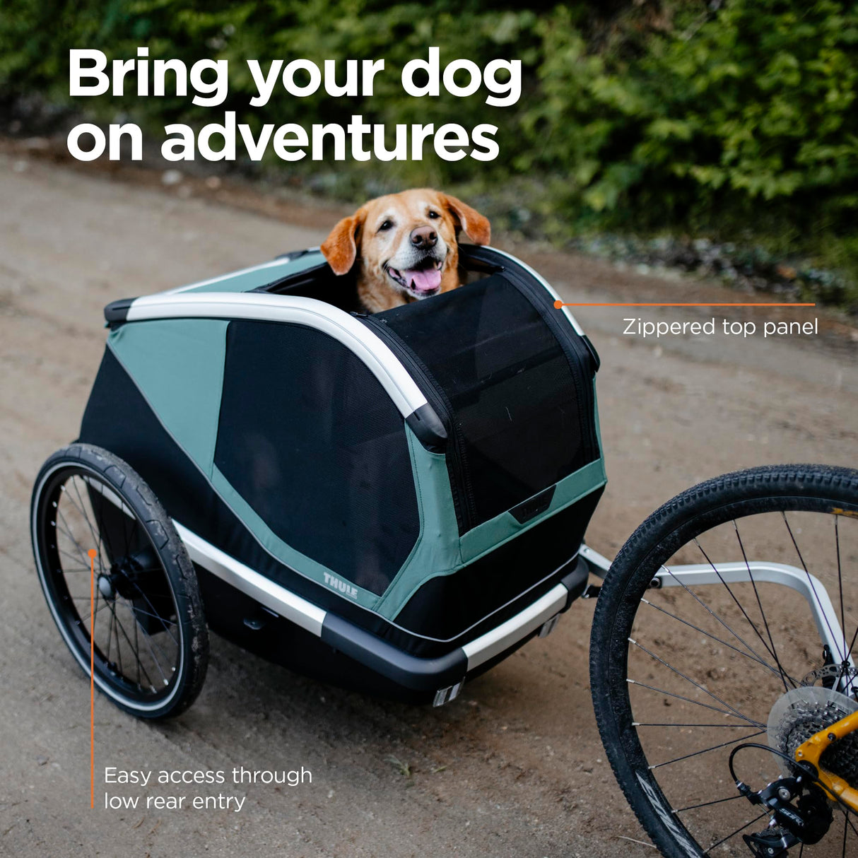 Thule Bexey pet Bike Trailer - Carrier for Small & Large Sized Dogs - Foldable Design - Easy to Connect to Bike - Padded Interior - Converts into Travel Crate - Durable Materials