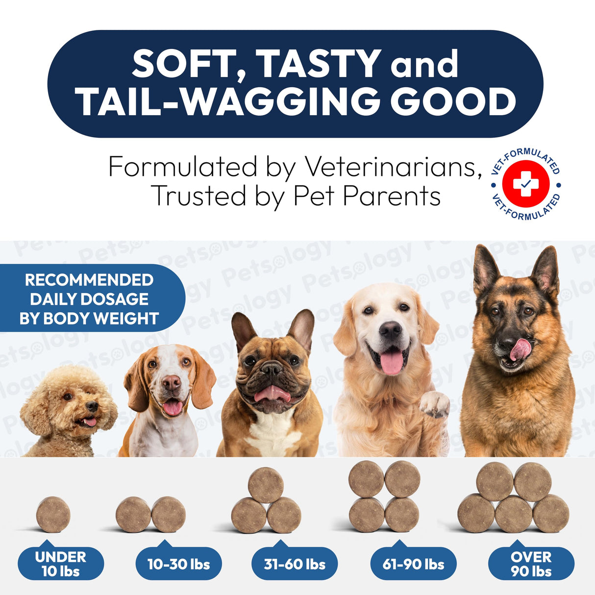Probiotics for Dogs - 170 Dog Probiotics Chews - Digestive Enzymes & Prebiotics - Support Gut Health, Diarrhea, Gas & Constipation Relief - Itchy Skin, Allergies, Yeast Balance - Advanced Supplement
