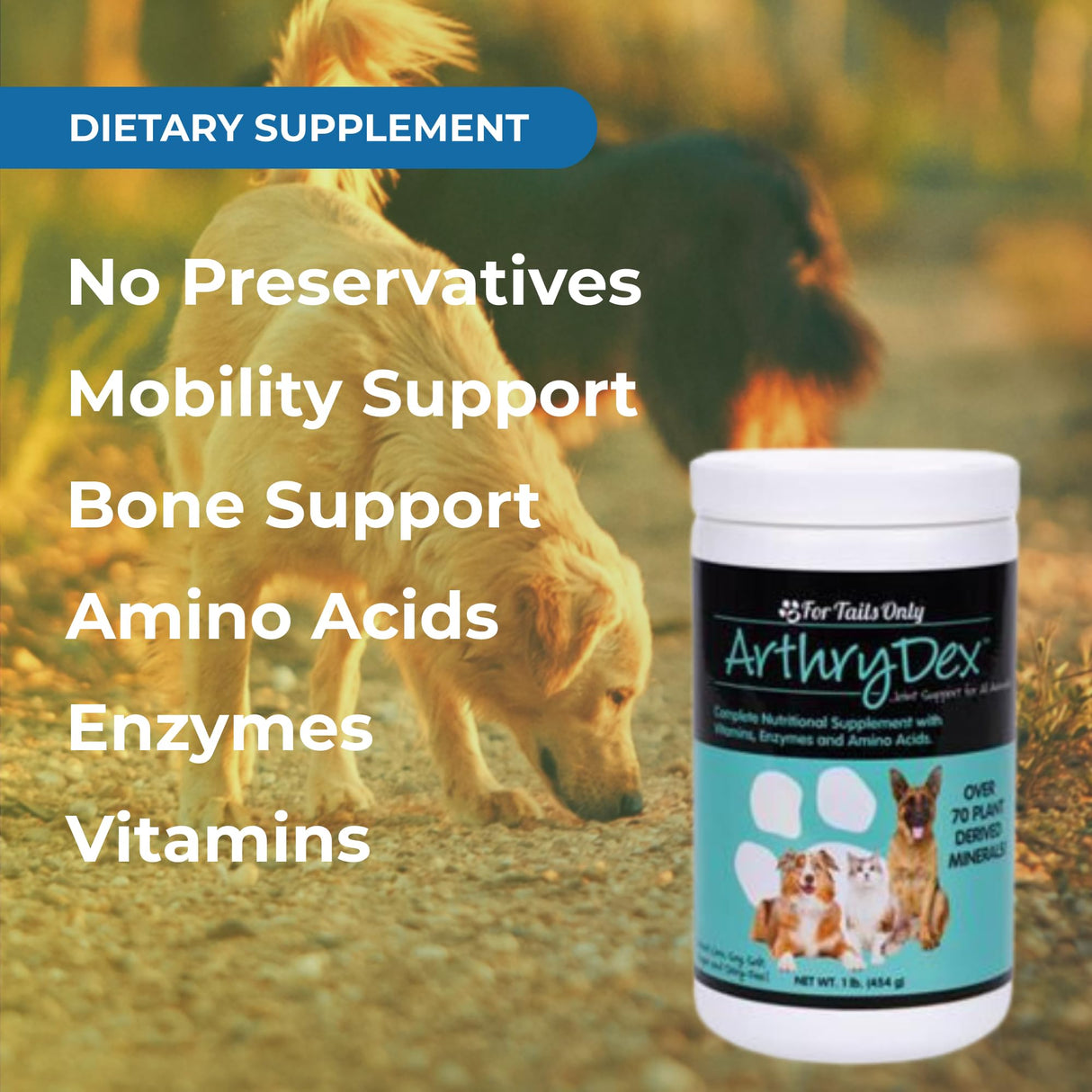 YOUNGEVITY Arthrydex Complete Nutritional Supplement | Vitamins Amino Acids Enzymes | Pets Healthy Bones -1 lb Canister