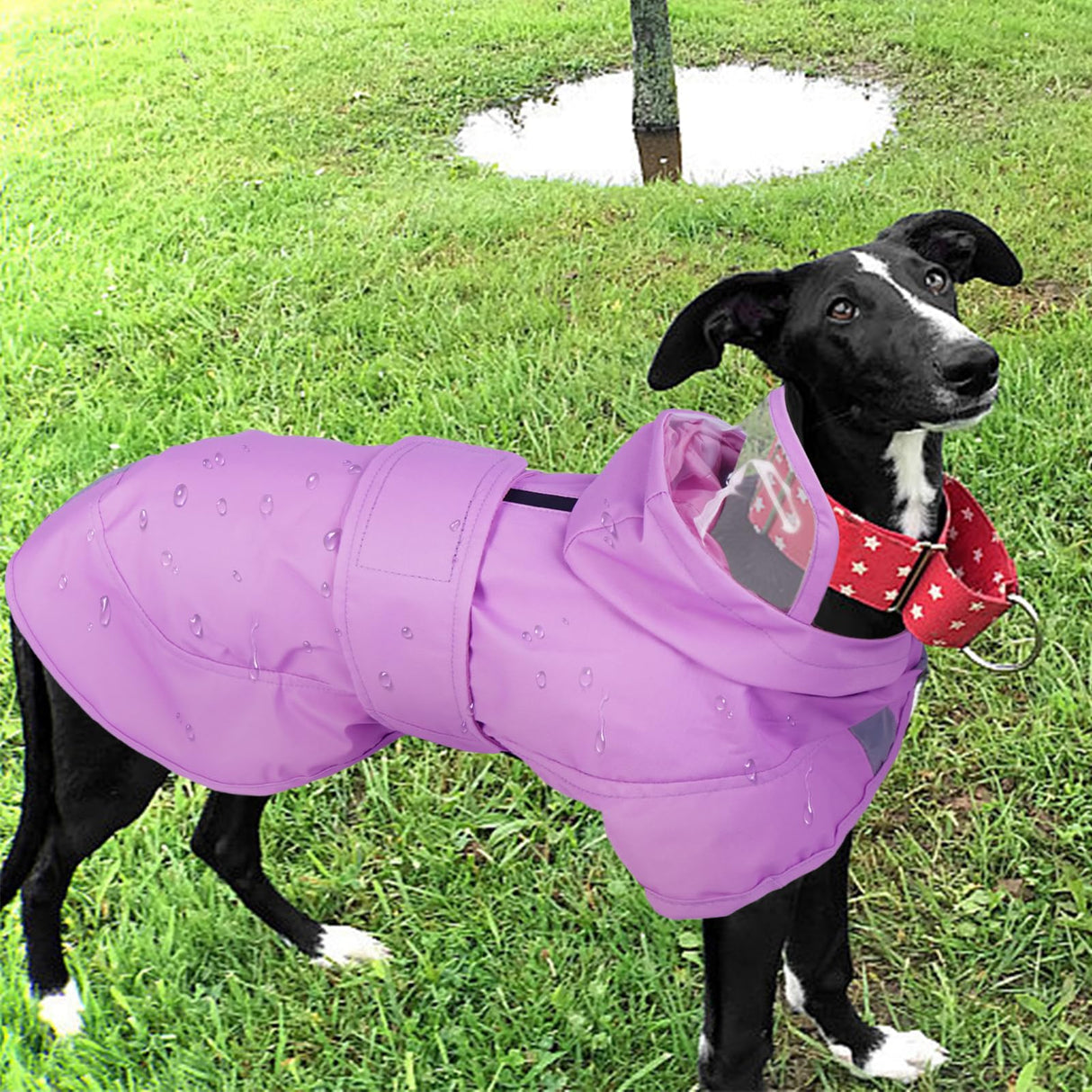 Kuoser Dog Raincoat, Waterproof Dog Rain Jacket with Clear Hooded Double Layer, Lightweight Reflective Dogs Rain Coat with Adjustable Belly Strap, Rain Coats for Medium Dogs Outdoor Wear, Pink M