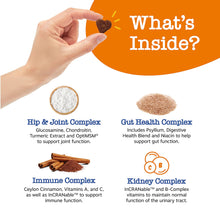 Load image into Gallery viewer, Zesty Paws Senior Dog Multivitamin Treats - Glucosamine for Dogs + Digestive Enzymes & Probiotics - Grain Free Dog Vitamins and Supplements for Skin & Coat + Immune Health Chicken - Advanced - 90ct