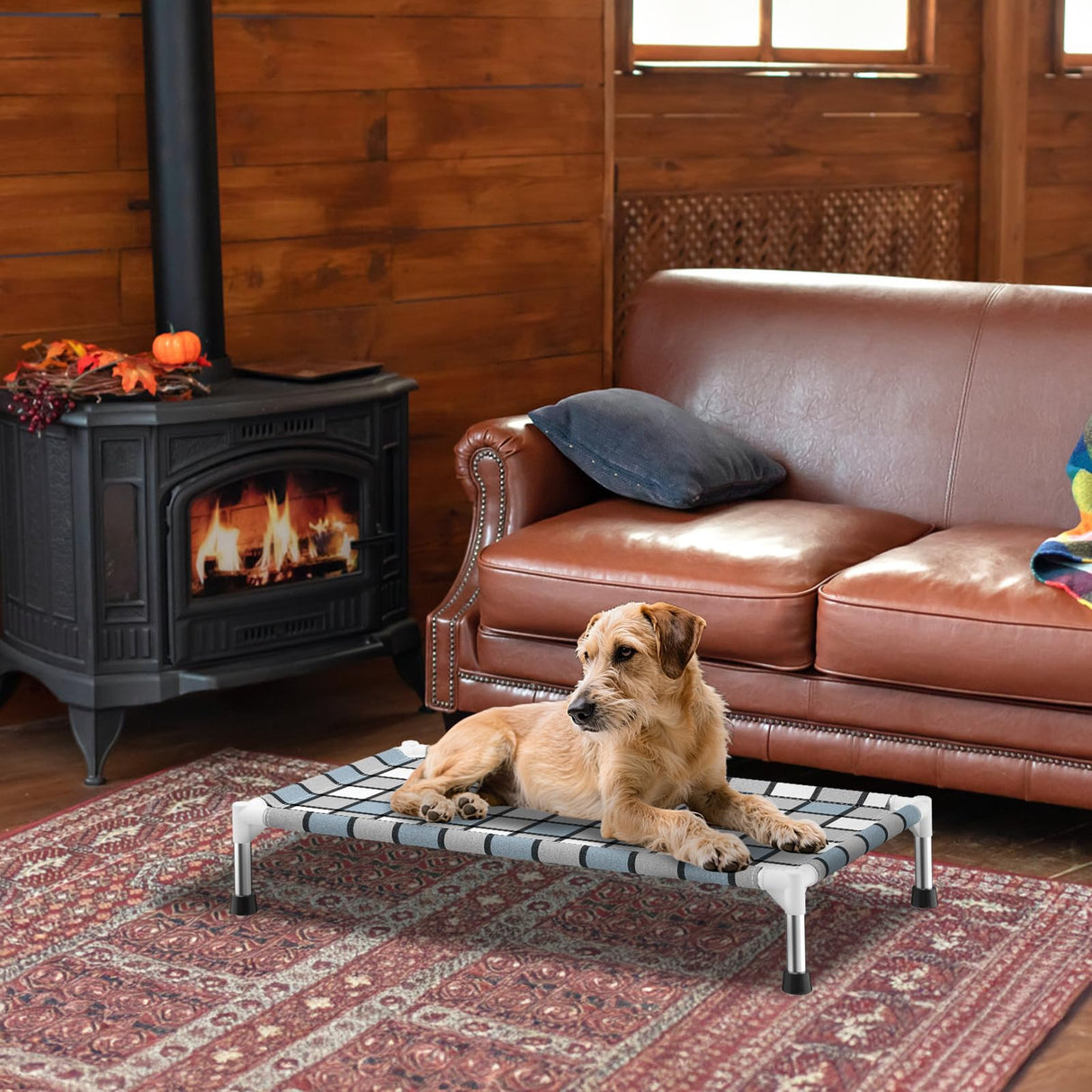 Caghash Elevated Outdoor Raised Dog Bed Outdoor Dogs Bed Lifted Pet Bed Dog Cot for Medium Pet Taste Life, Start with A Pet Bed 34'' x 20'' x 6.5''