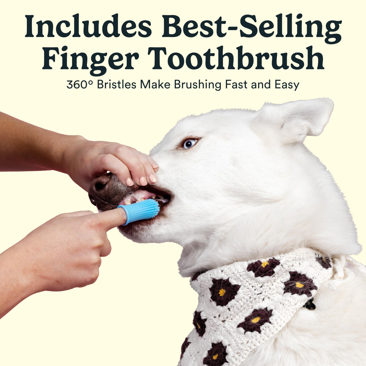 Jasper Dog Tooth Brushing Kit and Dog Toothpaste Kit with Dog Toothbrush Enzymatic, Plaque Remover Imporves Bad Breath Natural Pet Toothpaste Dog Toothbrush and Toothpaste 3.5oz Bacon Flavor